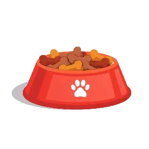 What’s in your dog’s food? How to monitor your dog’s nutrition