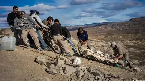 Caçadores de dinossauros vivem era de ouro na América do Sul
