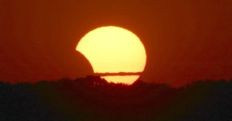 A partially eclipsed Sun low over a dark treeline, with a bite taken out of its upper left edge, in an orange sunrise sky