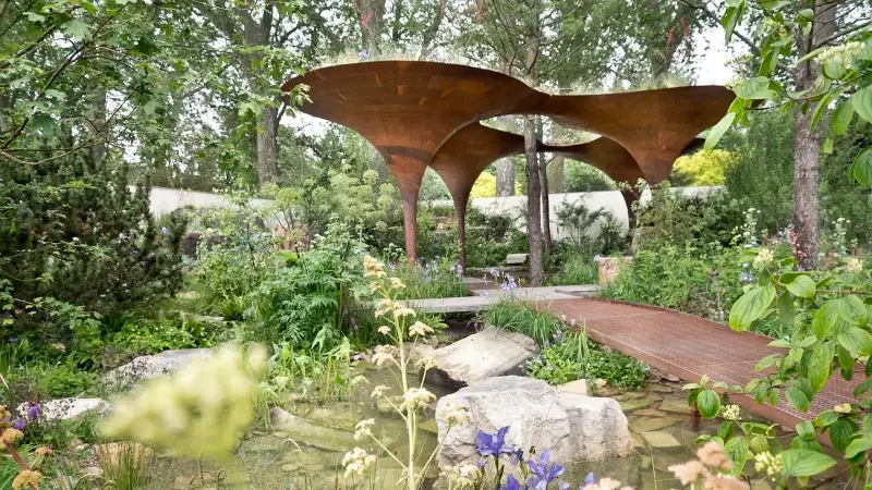 Is it Time to Ditch the Lawn? Why Low-Water Garden Design Is Taking Over in 2026