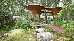 Is it Time to Ditch the Lawn? Why Low-Water Garden Design Is Taking Over in 2026