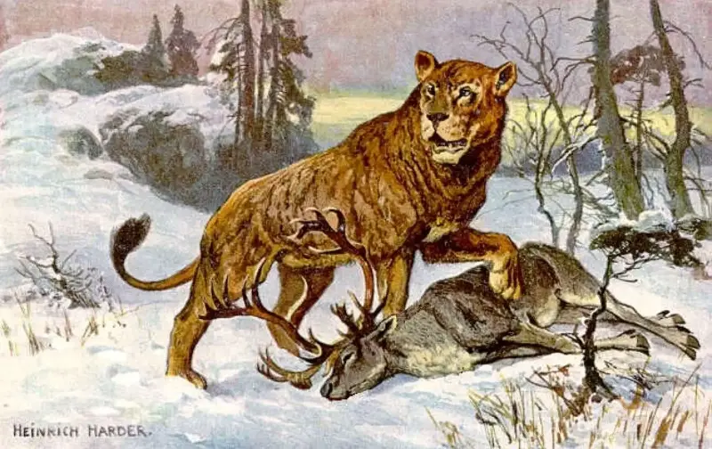 El león de las cavernas no era un león: cómo el ADN revela una especie perdida