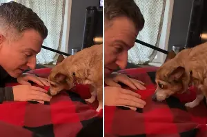 Tears at Moment Senior Dog ‘Trusts’ Foster Carer for First Time