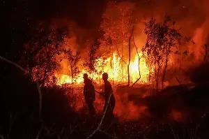 Indonesia deploys nearly 17,000 personnel to fight fires in Central Kalimantan, South Sumatra