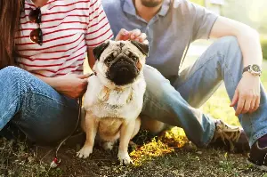 Enjoy these summer outdoor activities with your pup