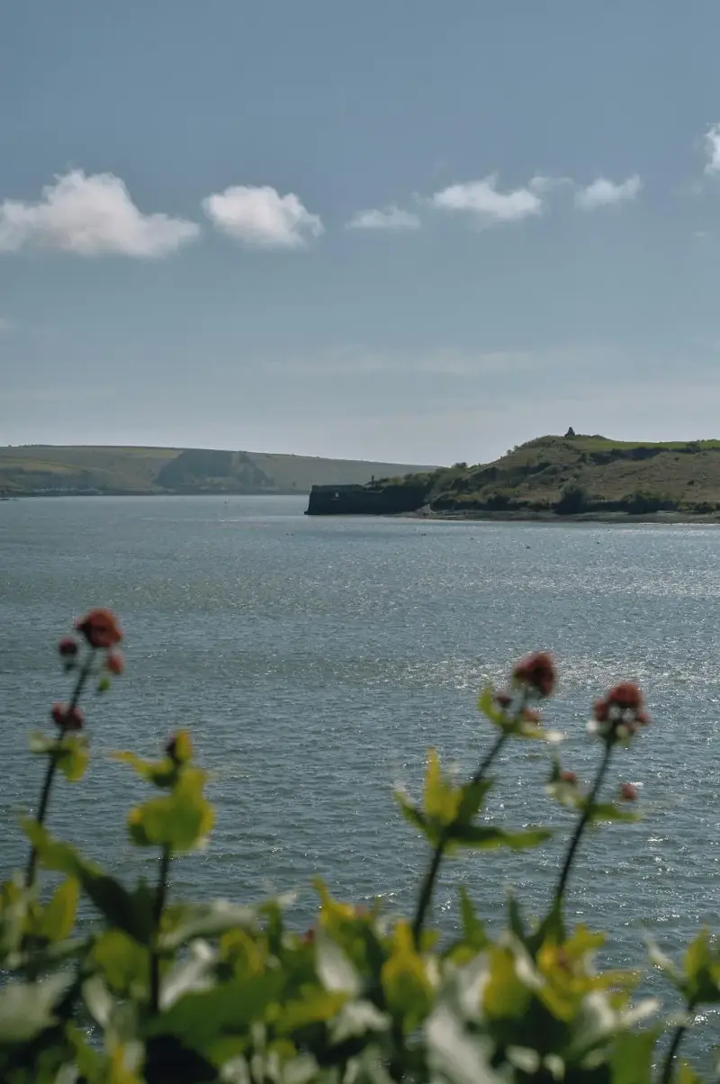 A view along the Scilly Walk coastal trail in Kinsale. MICHAEL VINCE KIM