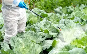 Weedkiller ‘driving evolution of superbugs’