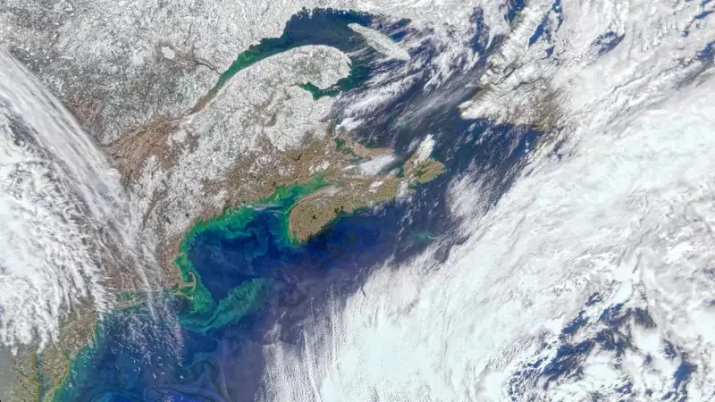 Green phytoplankton blooms swirling through Atlantic coastal waters off New England in a PACE satellite image