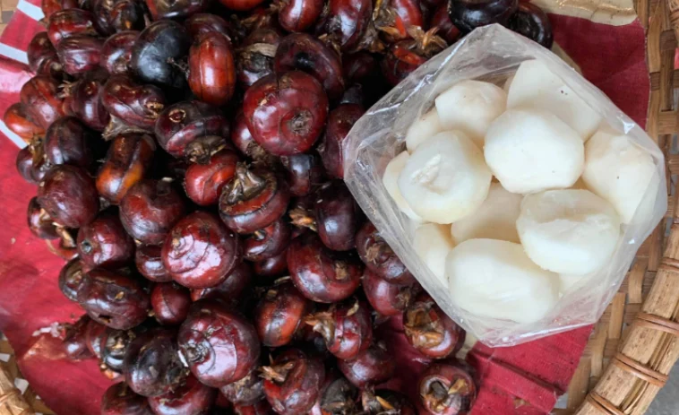 Củ năng (củ mã thầy) có tác dụng gì?- Ảnh 1.