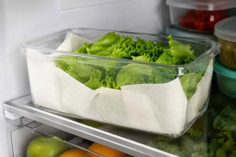 La lattuga ti dura solo pochi giorni in frigorifero? Il semplice trucco con la carta da cucina che può farla restare fresca più a lungo