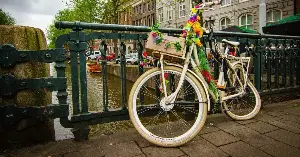 Amsterdam retrieves thousands of bikes yearly.