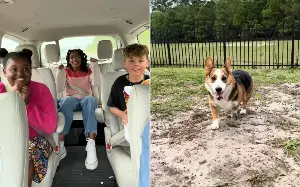 Mom Captures Kids’ Reactions As She Reveals They’re Adopting Rescue Corgi