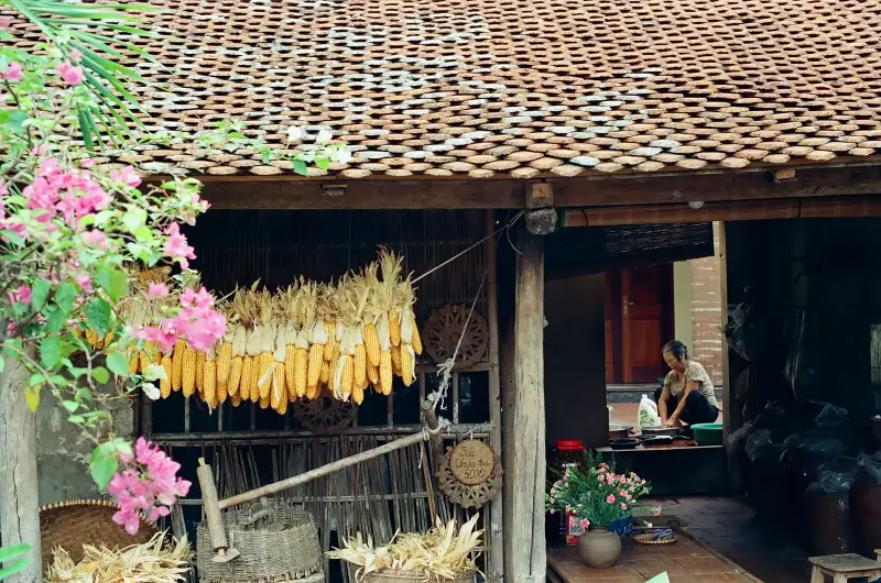 Okinawan village elderly