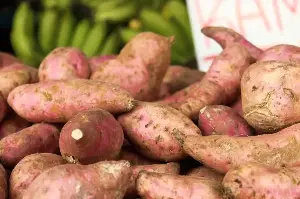 Okinawans' diet and longevity