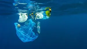The global oceans are under severe pressure.