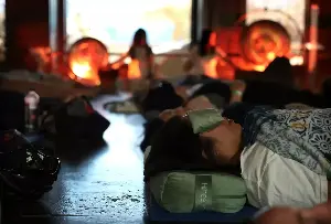 Taxidermy sound bath? How an unconventional idea works at the Natural History Museum