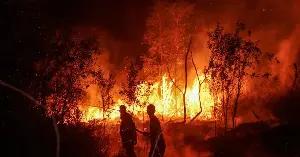 The UN warns the world could warm by 2.6 degrees this century.