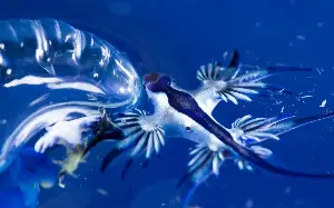 11 strange and dangerous phenomena that could ruin your next holiday