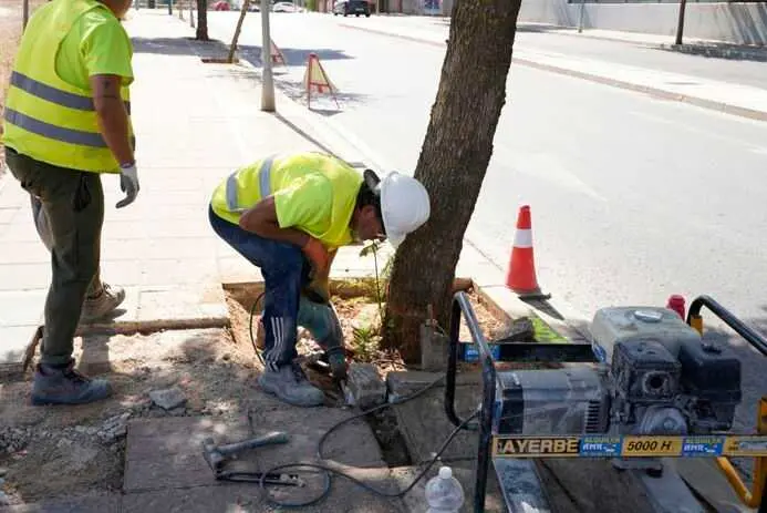 Mairena activa el nuevo servicio de renovación de sus alcorques con una inversión de 410.000 euros