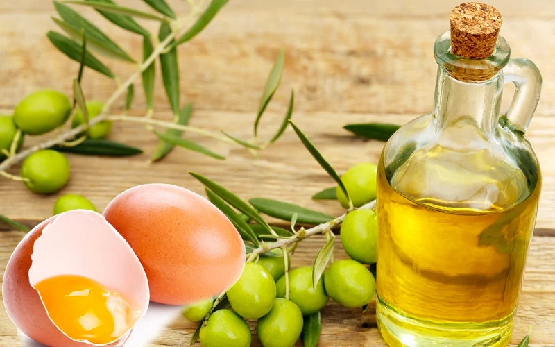 Phục hồi tóc hư tổn bằng protein trứng gà