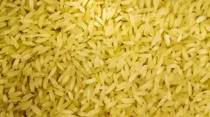How A Forgotten Rice From Bengal Has Fans Among Chefs & Foodies