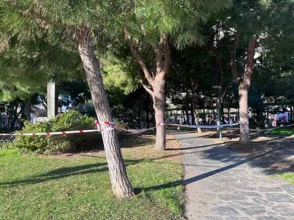 El Ayuntamiento ha incorporado 1.583 nuevos árboles en calles, parques y centros educativos de la ciudad