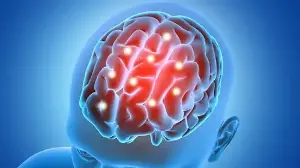 Brain's new power revealed: Study shows how neurons adapt and change