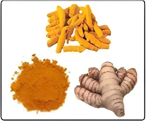 Turmeric And Ginger May Transform Bone Implant Success