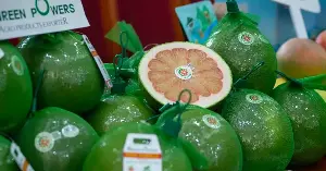 Delicious and healthy fruits for those who want to lose weight.