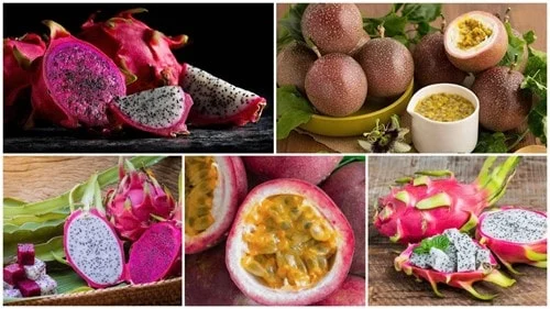 Vietnamese passion fruit faces the risk of stricter EU controls on pesticide residue levels.