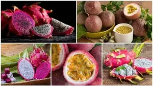 Vietnamese passion fruit and dragon fruit risk stricter EU controls due to pesticide residue levels.