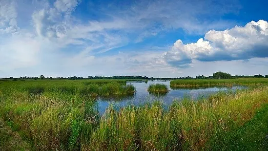 Horicon Marsh in Wisconsin, a wetland that was once drained and abandoned and is now protected.
