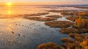 Horicon Marsh's restoration journey