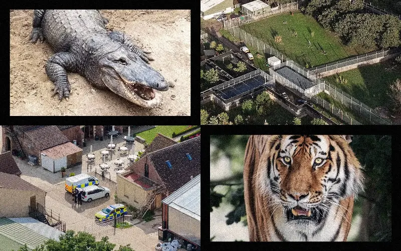 Zoos