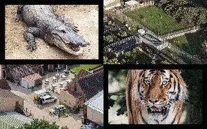What do visitor tragedies mean for modern zoos?