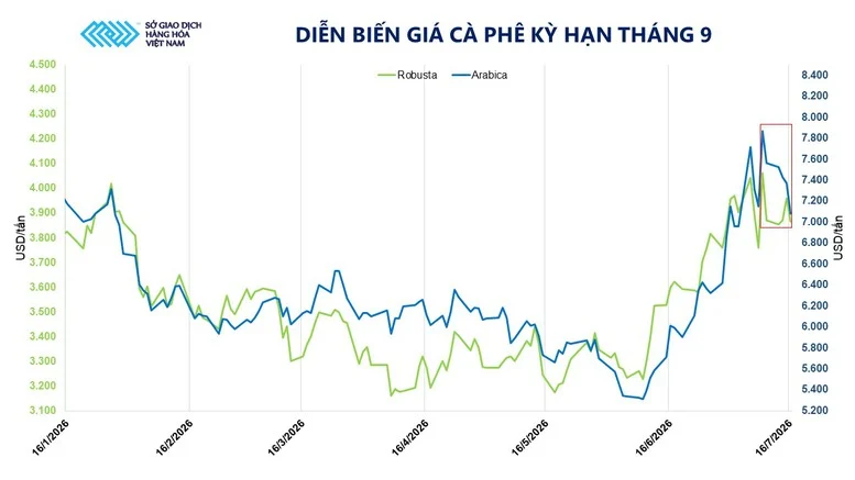 COMMODITY MARKET: Coffee experiences sharp price fluctuations - Photo 2.