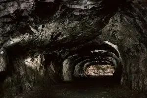 In a cave 18 metres below the surface at Movile in Romania, sealed off from the outside world for 5.5 million years, biologists have found 48 species that live on hydrogen sulphide and have never seen sunlight