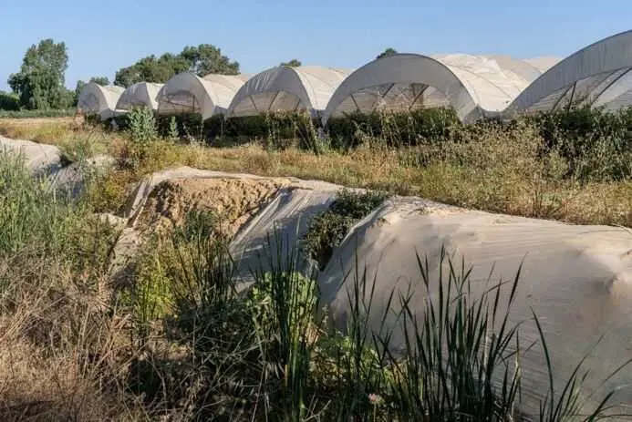 WWF dice que la Junta "no cumple" la recomendación de la Unesco de restaurar los corredores ecológicos de Doñana