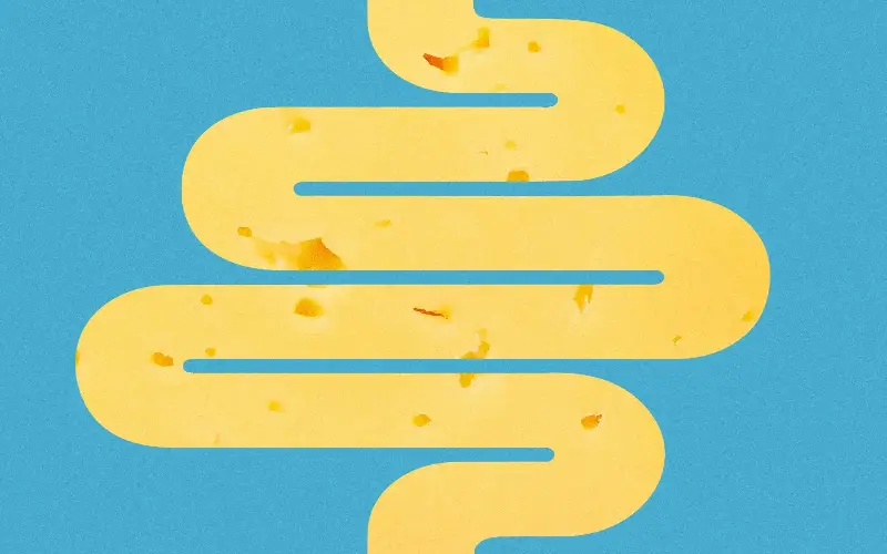 The best (and worst) cheeses for your gut health