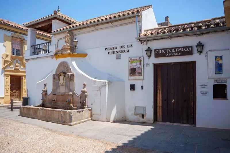 El Consejo del Movimiento Ciudadano reclama una solución "desde lo público" a los cines de verano