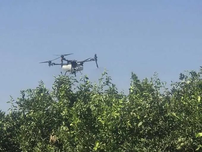 El Ifapa organiza en Sevilla una jornada sobre el uso de drones para agricultura de precisión en citricultura