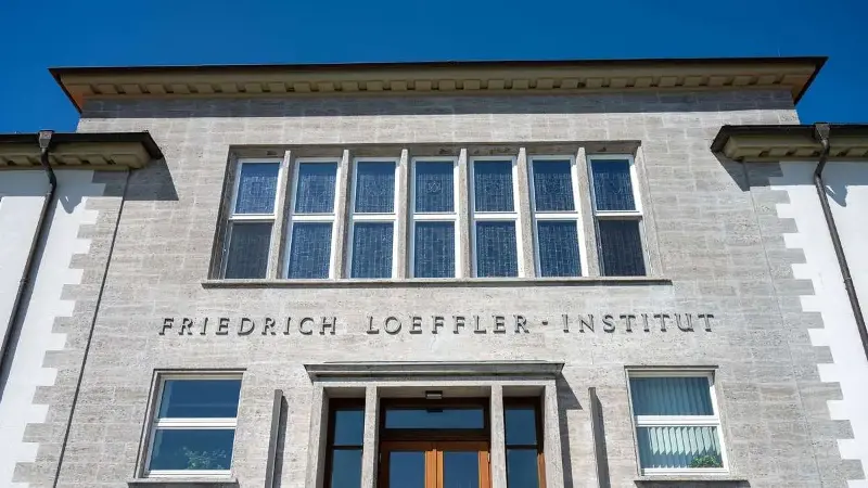 Das Friedrich-Loeffler-Institut hat einen bislang unbekannten Erreger untersucht und weiter charakterisiert. (Symbolbild)