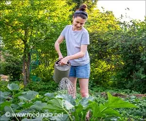 Home Gardens Linked to Lower Type 2 Diabetes Risk