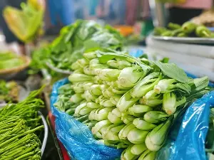 Cruciferous vegetables are rich in vitamins, so they should be included in a healthy diet.