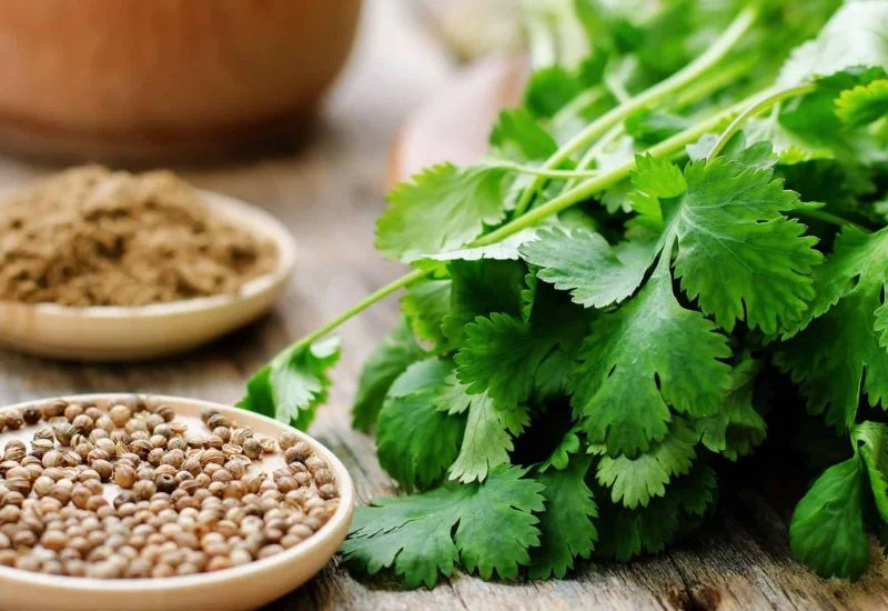 5 loại thực phẩm giúp thận lọc độc tố hiệu quả- Ảnh 3.