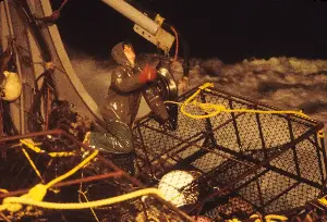 Powerful Storms and Search Efforts Put Alaska in Spotlight