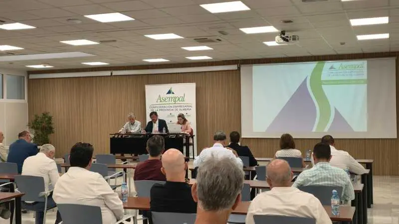 La asociación de empresarios ve la "saturación" de la red eléctrica como un "freno" al crecimiento de Almería