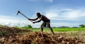 Farmers can revive degraded land.