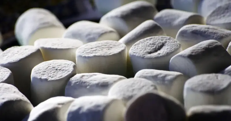 Close-up of a pile of white marshmallows