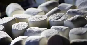 The marshmallow test, redone with ten times as many children, found that a four-year-old’s willpower mostly stopped predicting teenage success once family background was taken into account